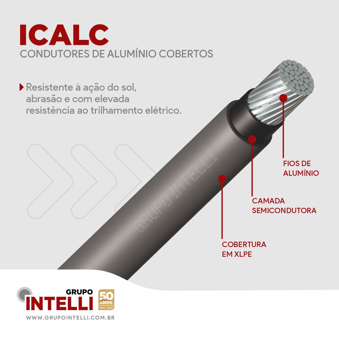 GRUPO INTELLI ad