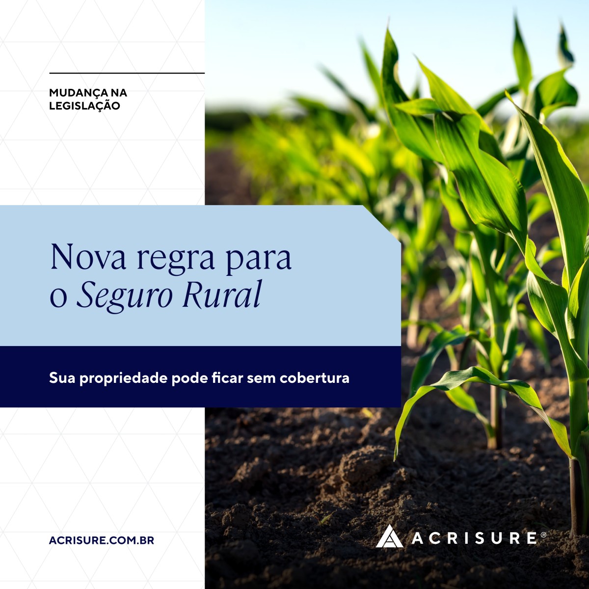 Acrisure Brazil ad
