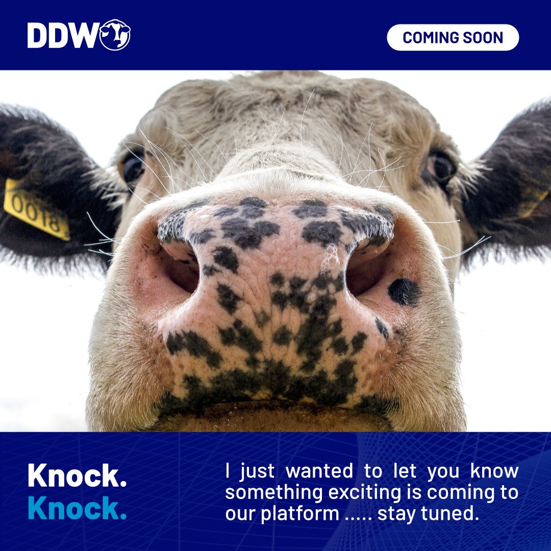 Dairy Data Warehouse (DDW) ad
