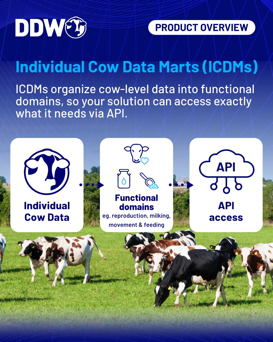 Dairy Data Warehouse (DDW) ad