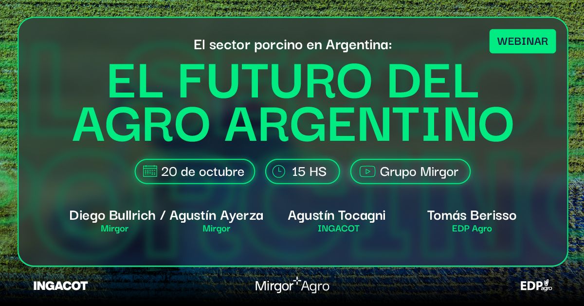 Mirgor ad