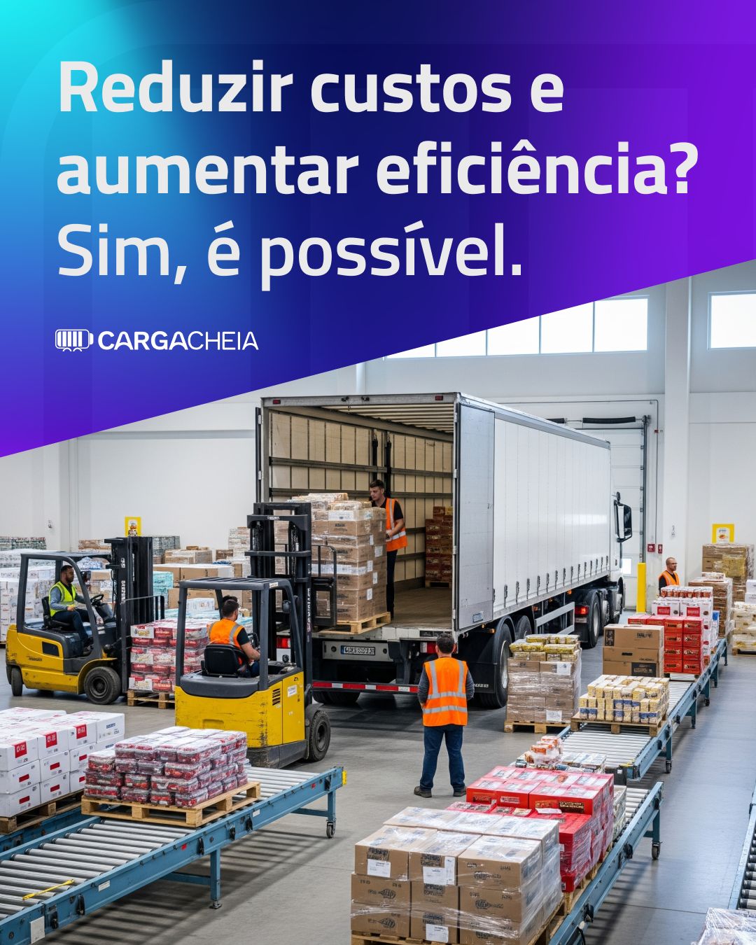 Carga Cheia ad