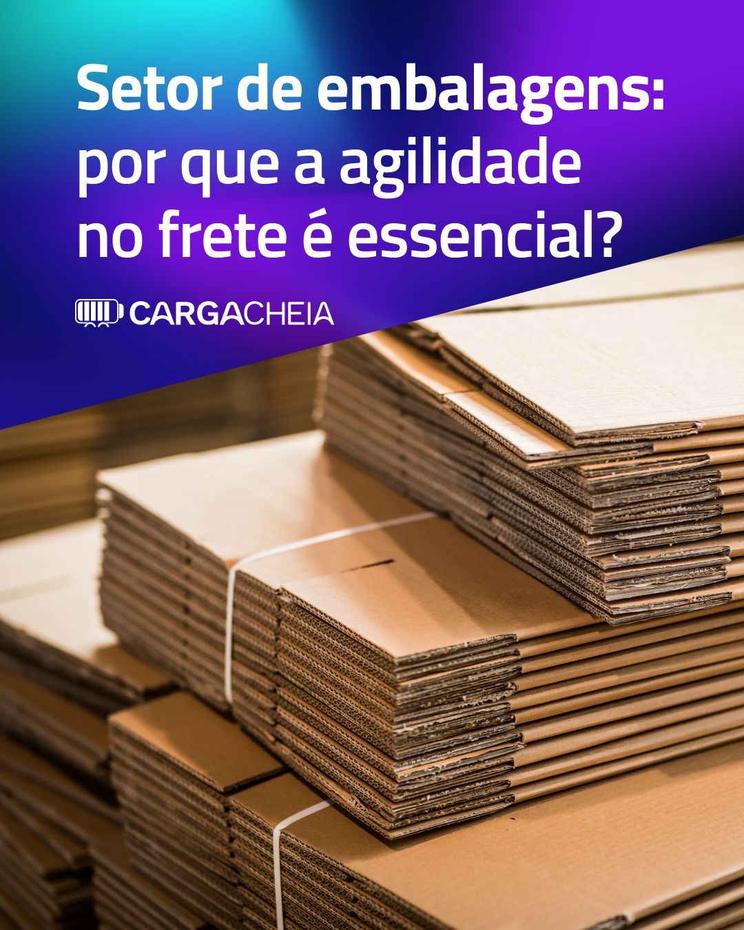 Carga Cheia ad