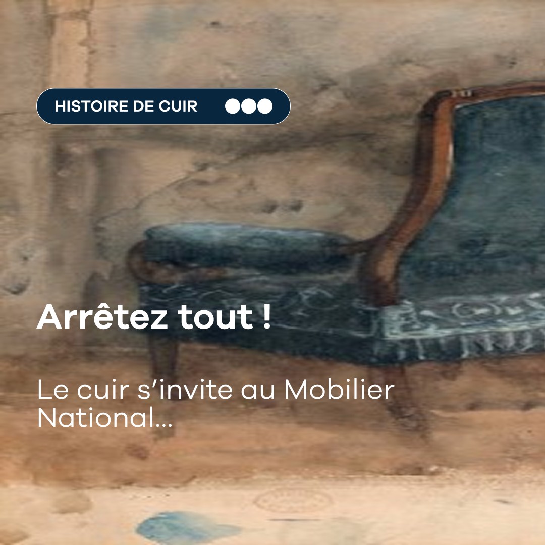 Alliance France Cuir ad