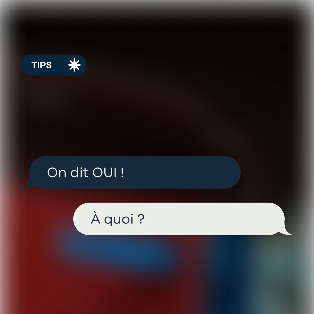 Alliance France Cuir ad