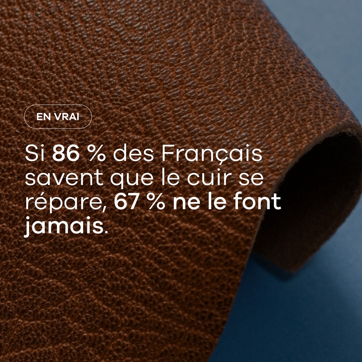 Alliance France Cuir ad