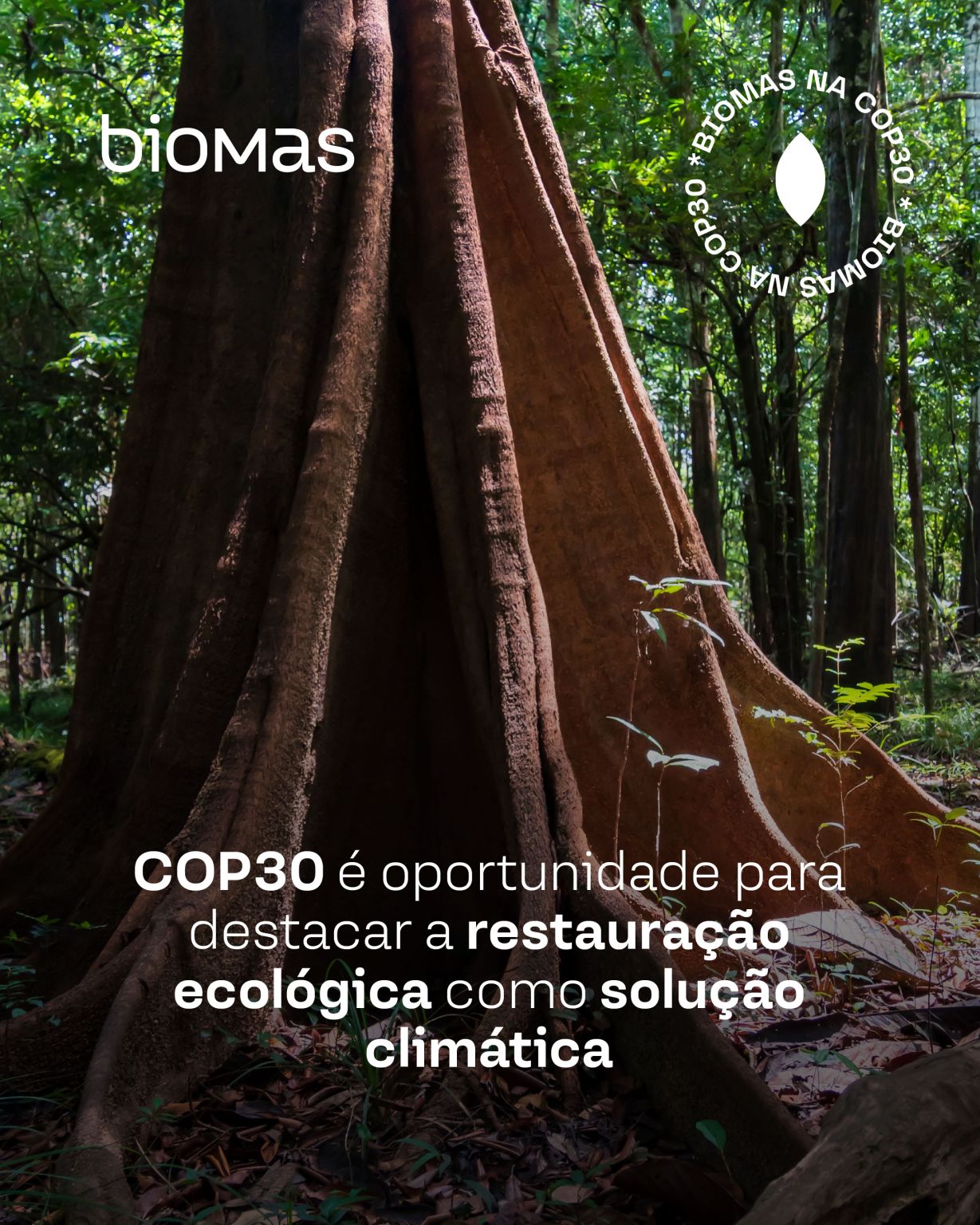 Biomas ad