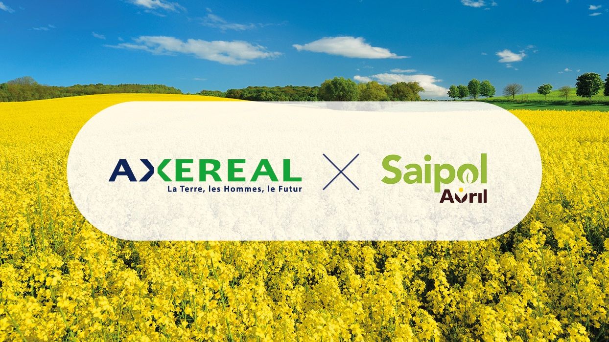 AXEREAL ad