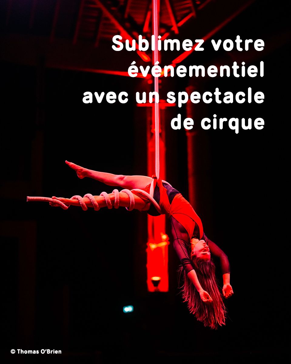 Académie Fratellini ad