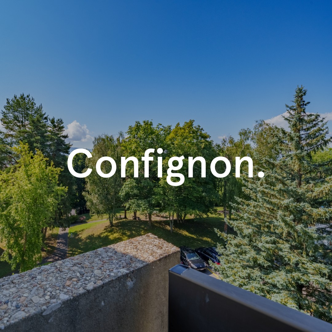 Naef Immobilier ad