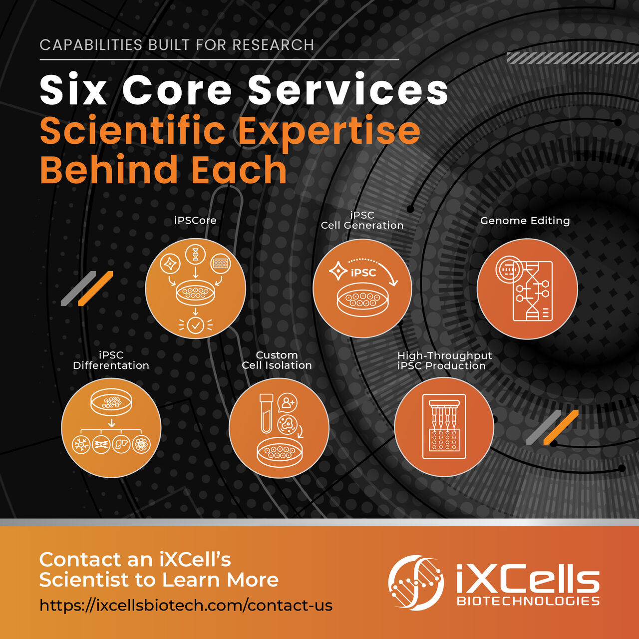 iXCells Biotechnologies ad