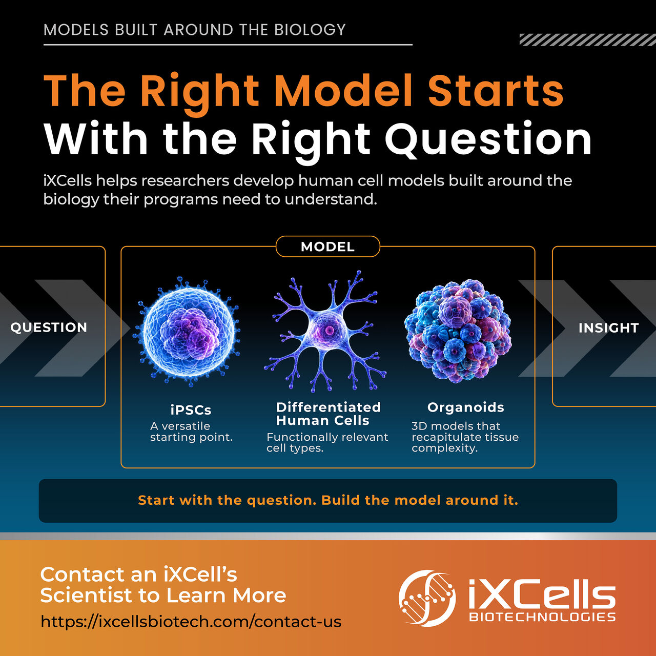 iXCells Biotechnologies ad