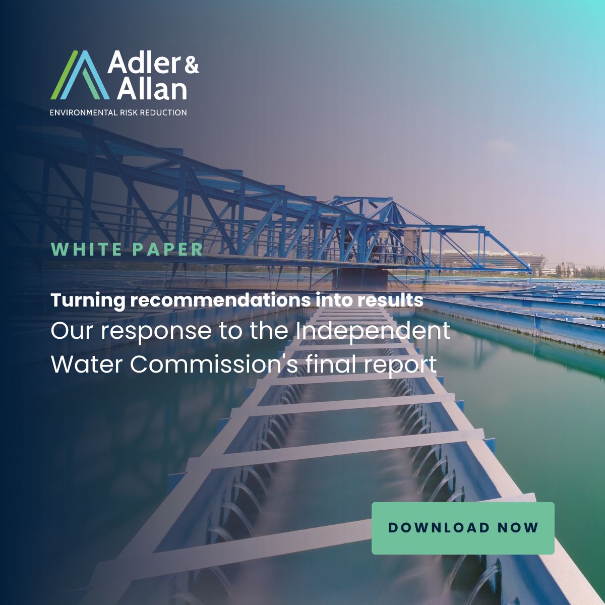 Adler & Allan ad