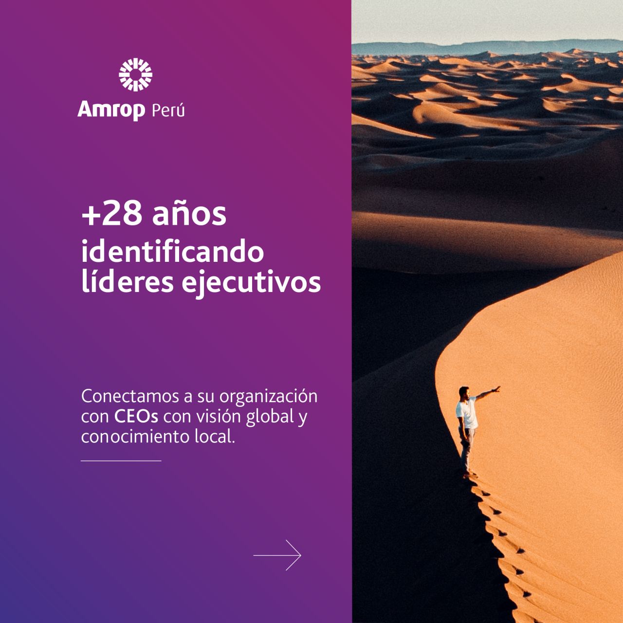 Amrop Peru ad