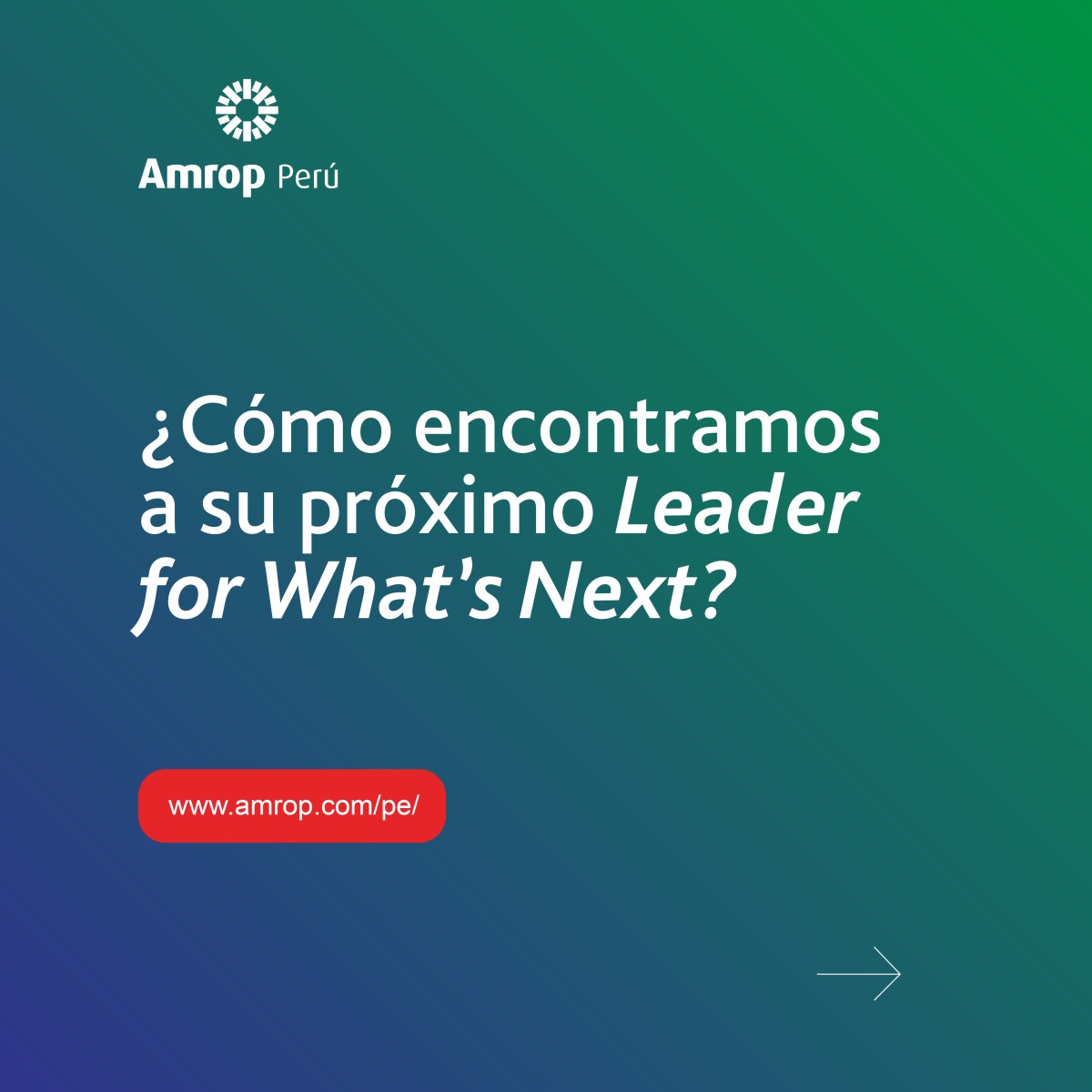 Amrop Peru ad