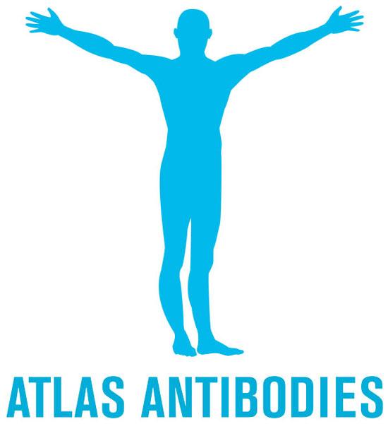 Atlas Antibodies ad