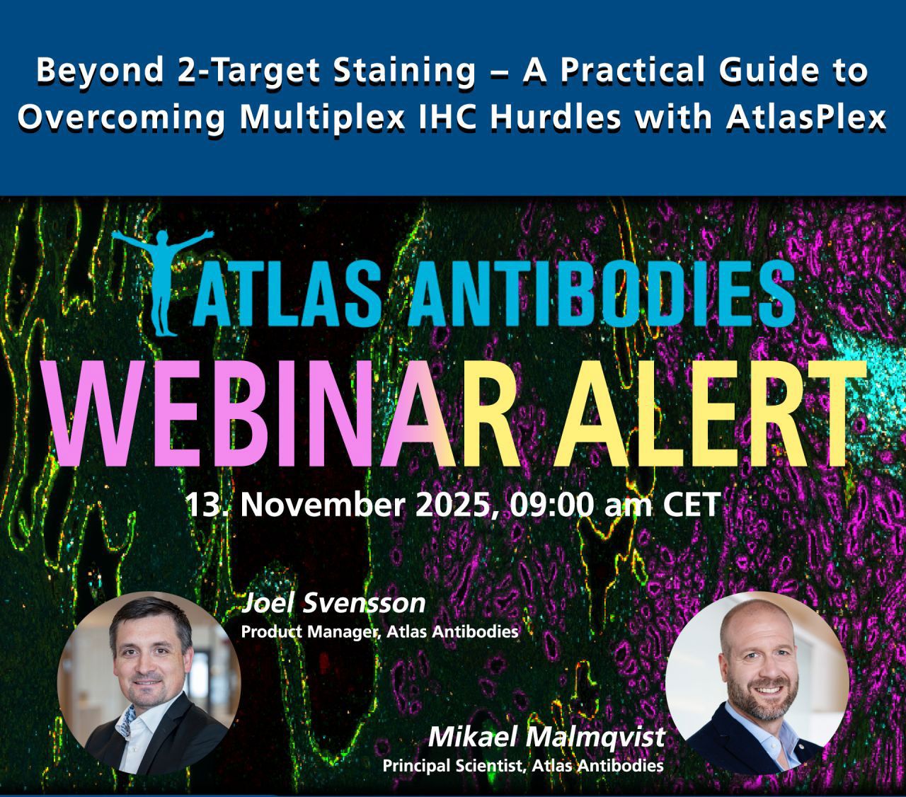 Atlas Antibodies ad