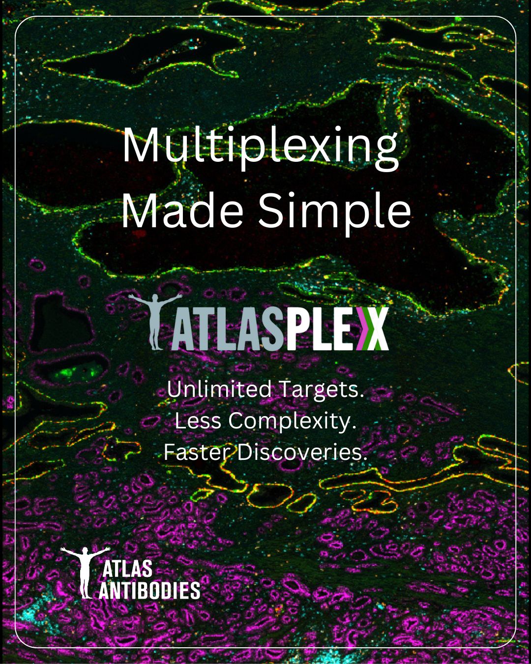 Atlas Antibodies ad
