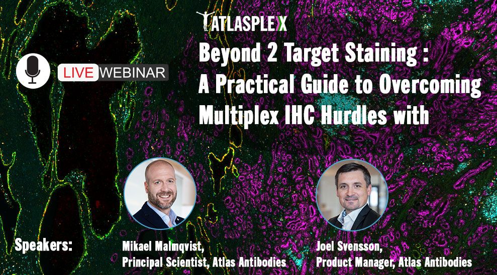 Atlas Antibodies ad