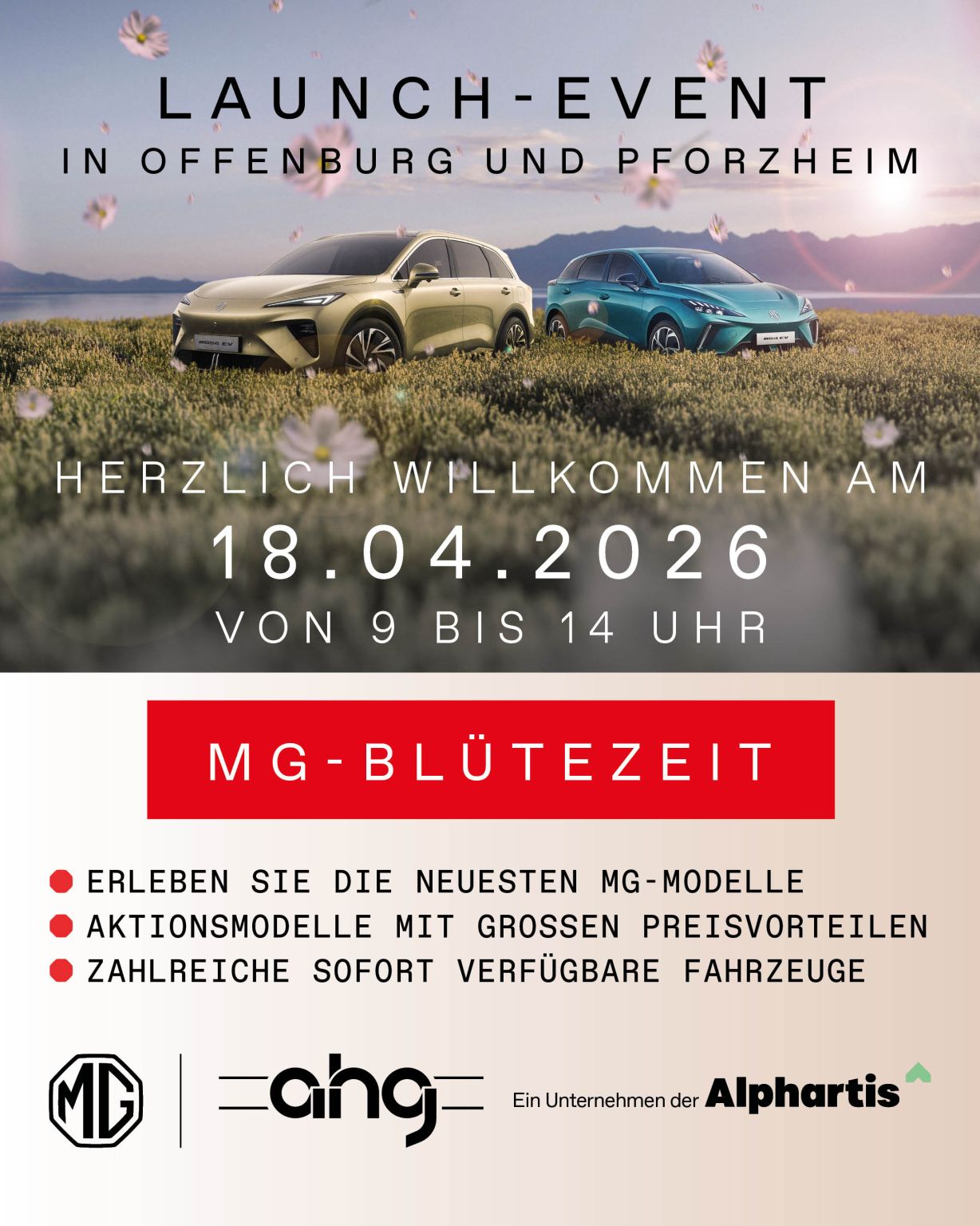 ahg Autohandelsgesellschaft mbH ad