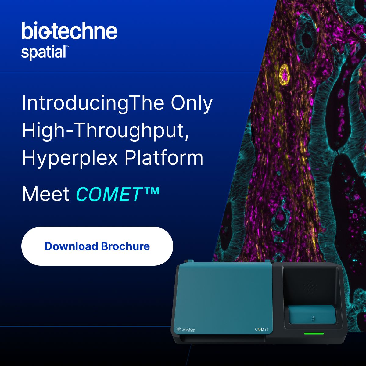 Advanced Cell Diagnostics (ACD) ad