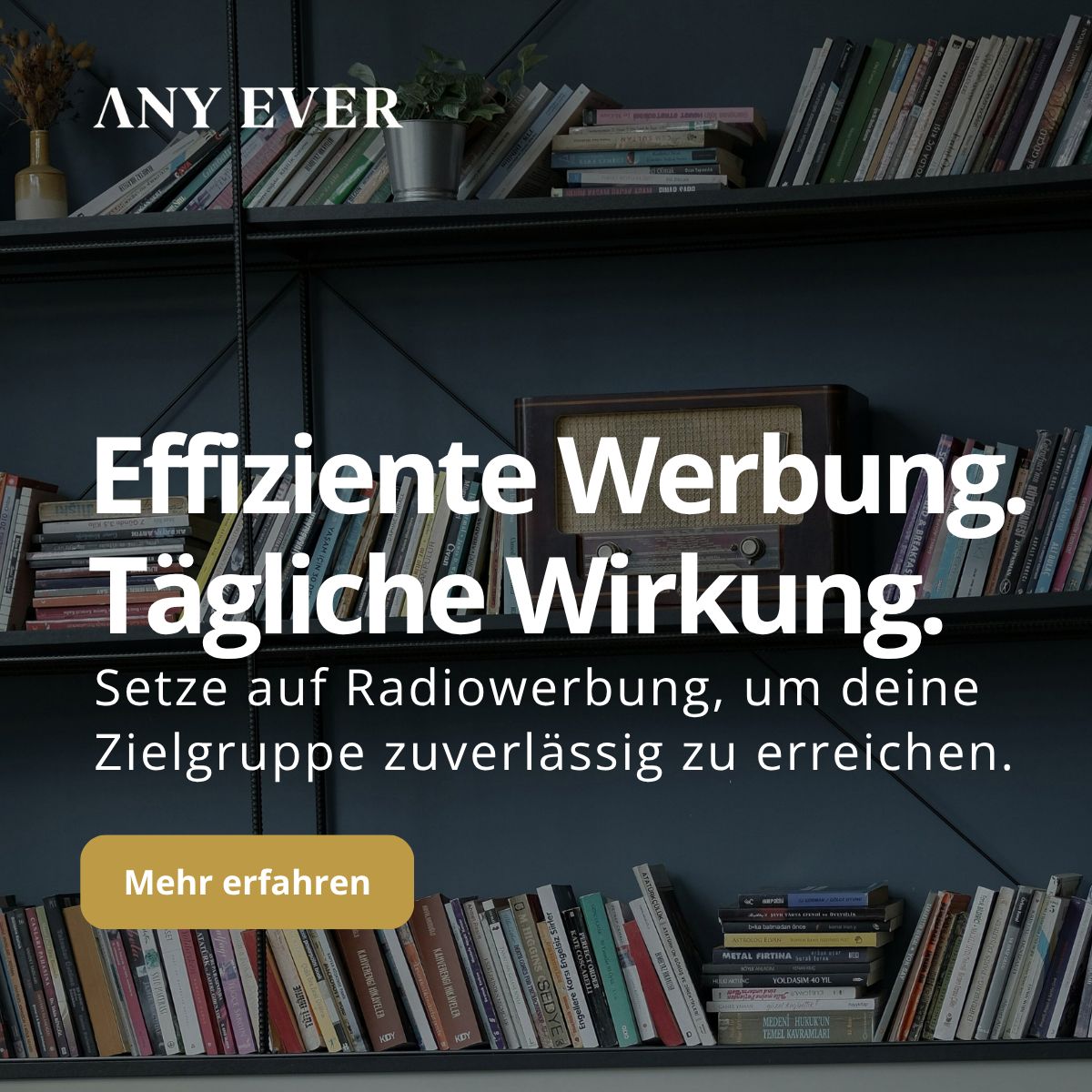 ANY EVER ad