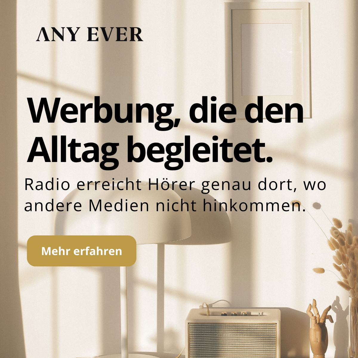 ANY EVER ad