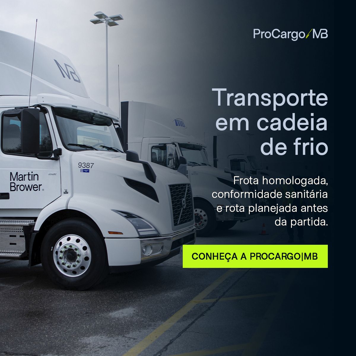 Martin Brower Brasil ad