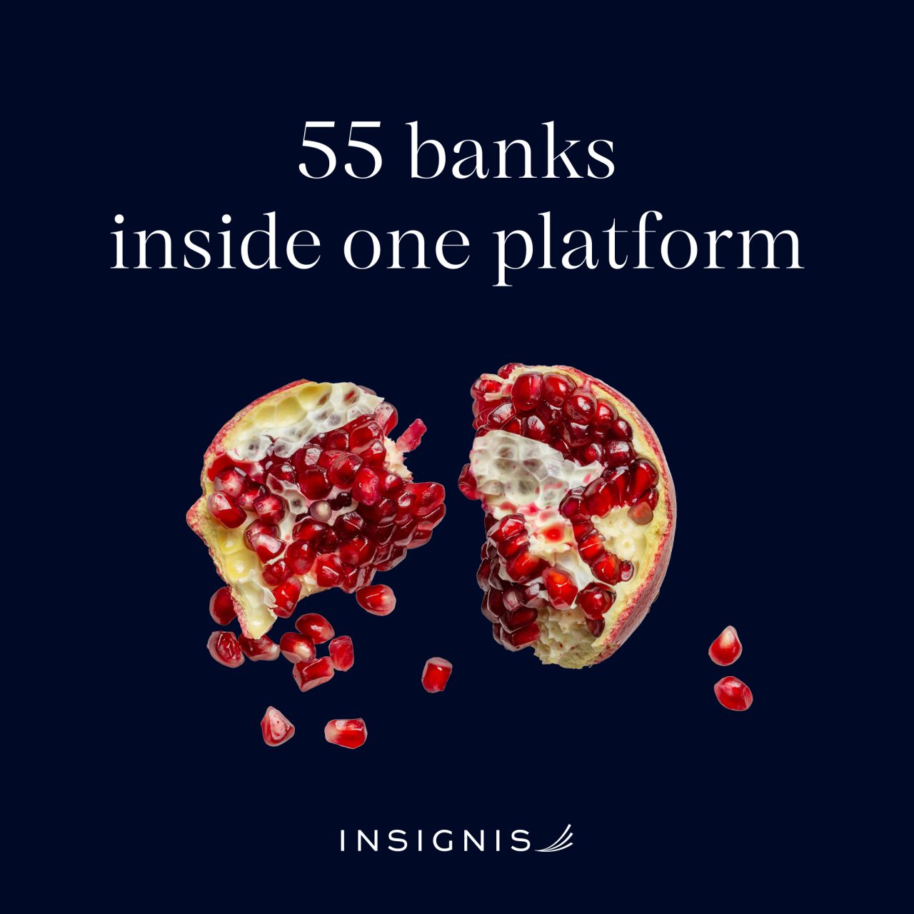 Insignis ad