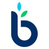 BusinessLoans.com ad