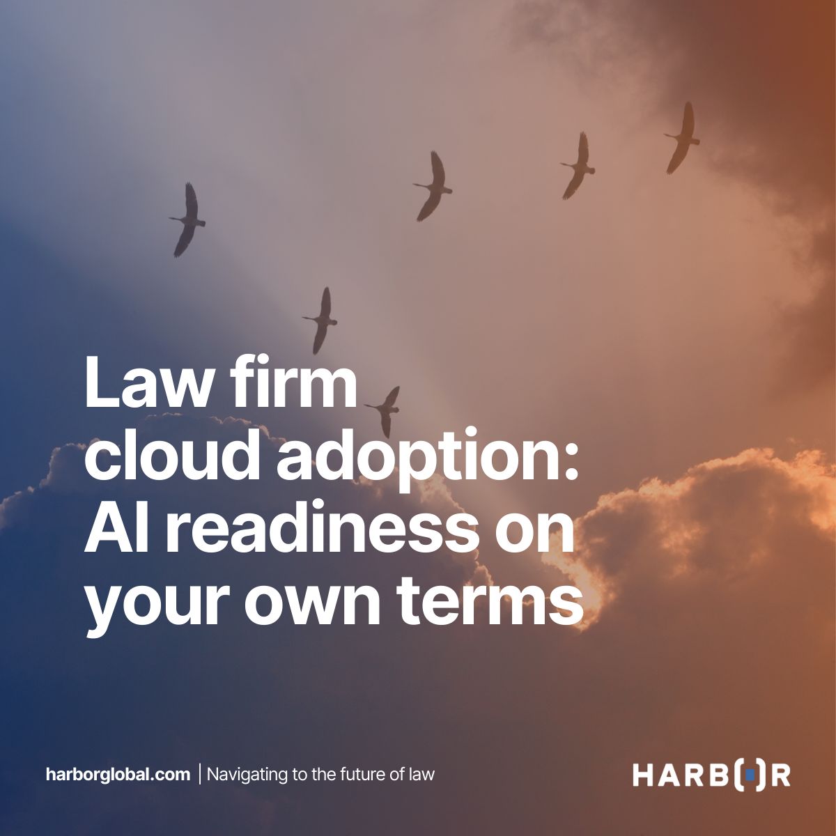 Harbor ad