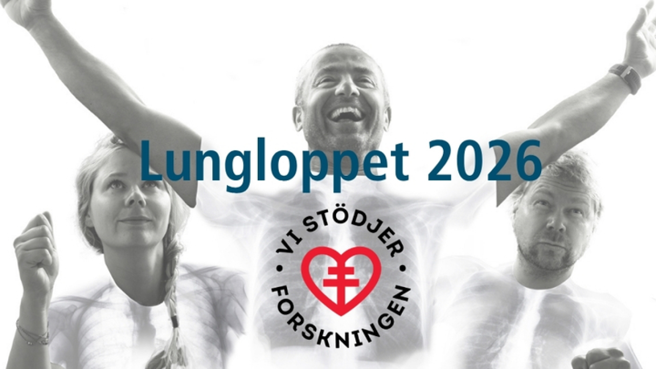 Dustcontrol Sverige ad