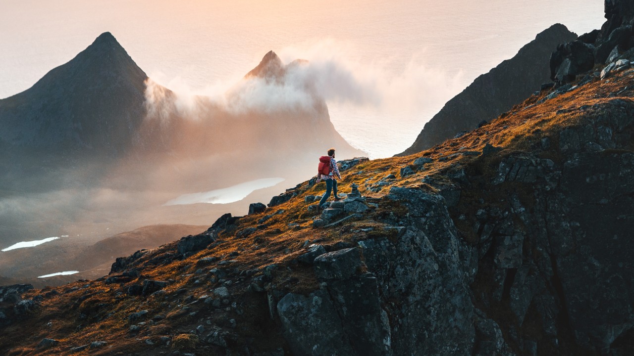 Kodiak Solutions ad