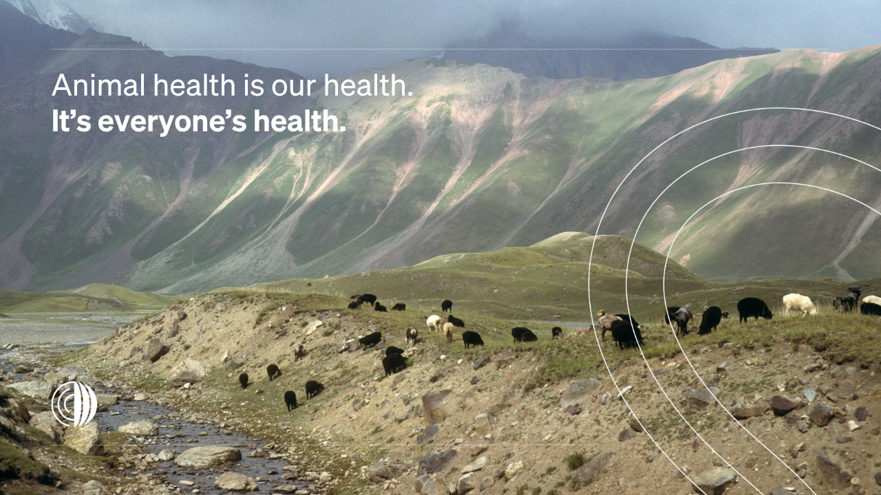 World Organisation for Animal Health ad