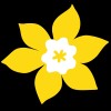 Canadian Cancer Society ad