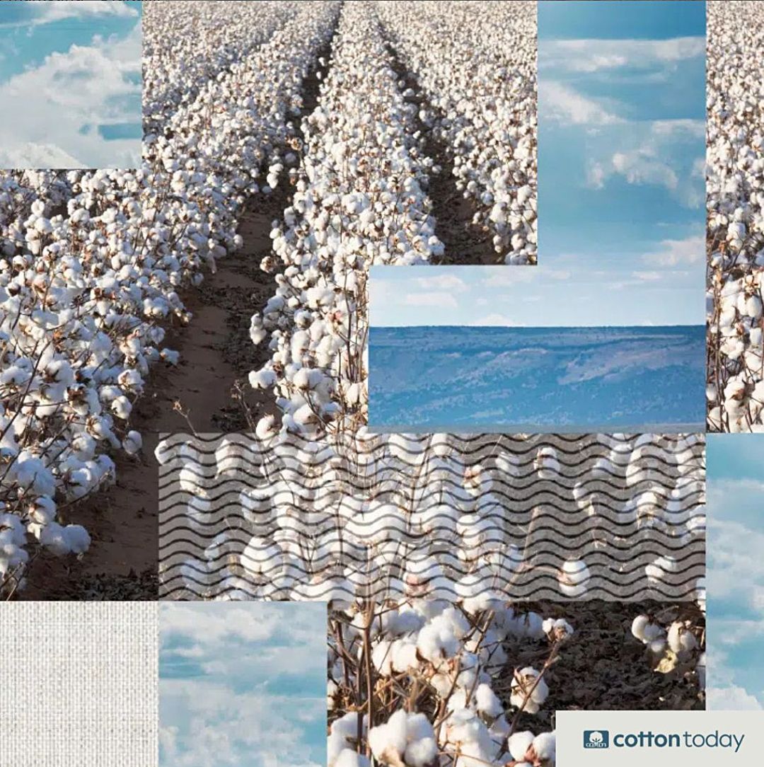 Cotton Incorporated ad