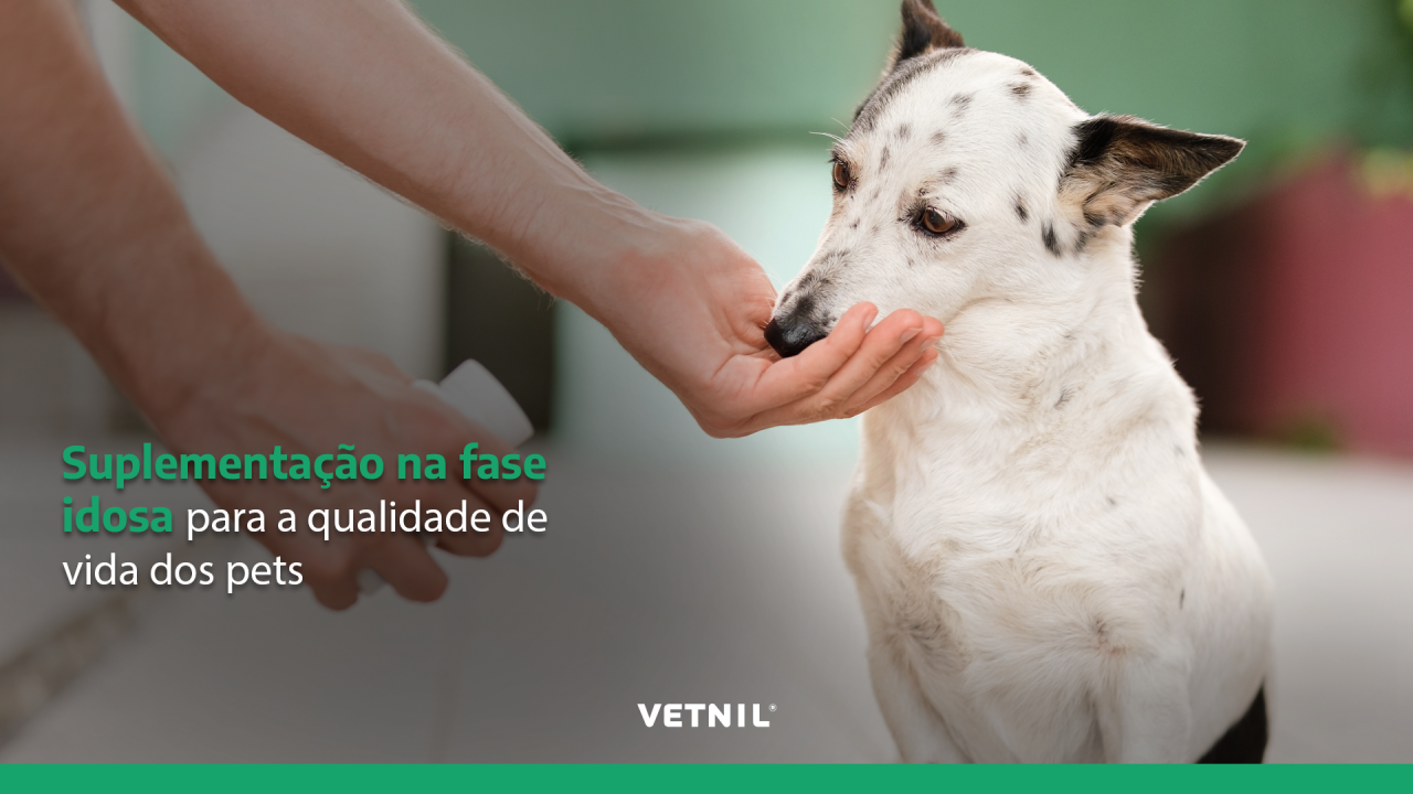 Vetnil ad