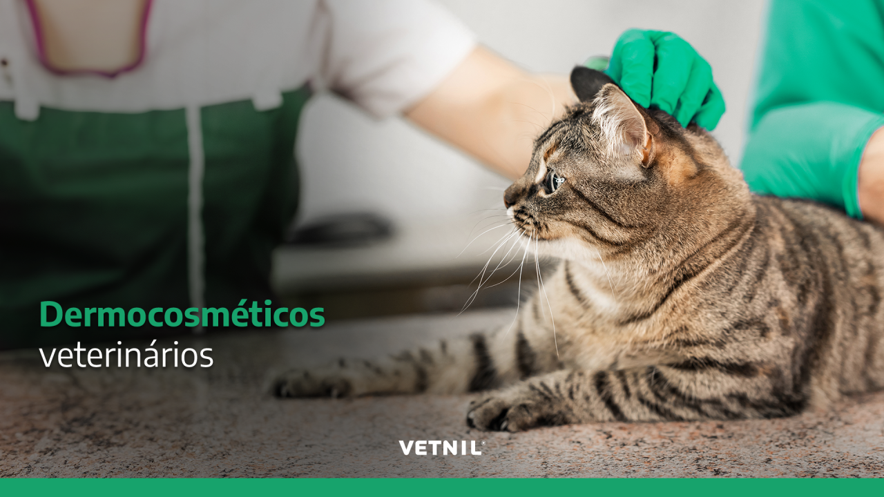 Vetnil ad