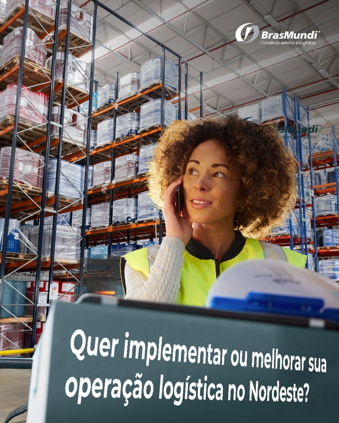 BRASMUNDI COMÉRCIO EXTERIOR E LOGÍSTICA ad